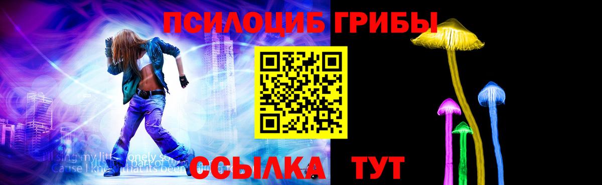 Всеволожск  Псилоцибиновые грибы Psilocybe  Галлюциногенные грибы мухоморы  Вход с VPN 